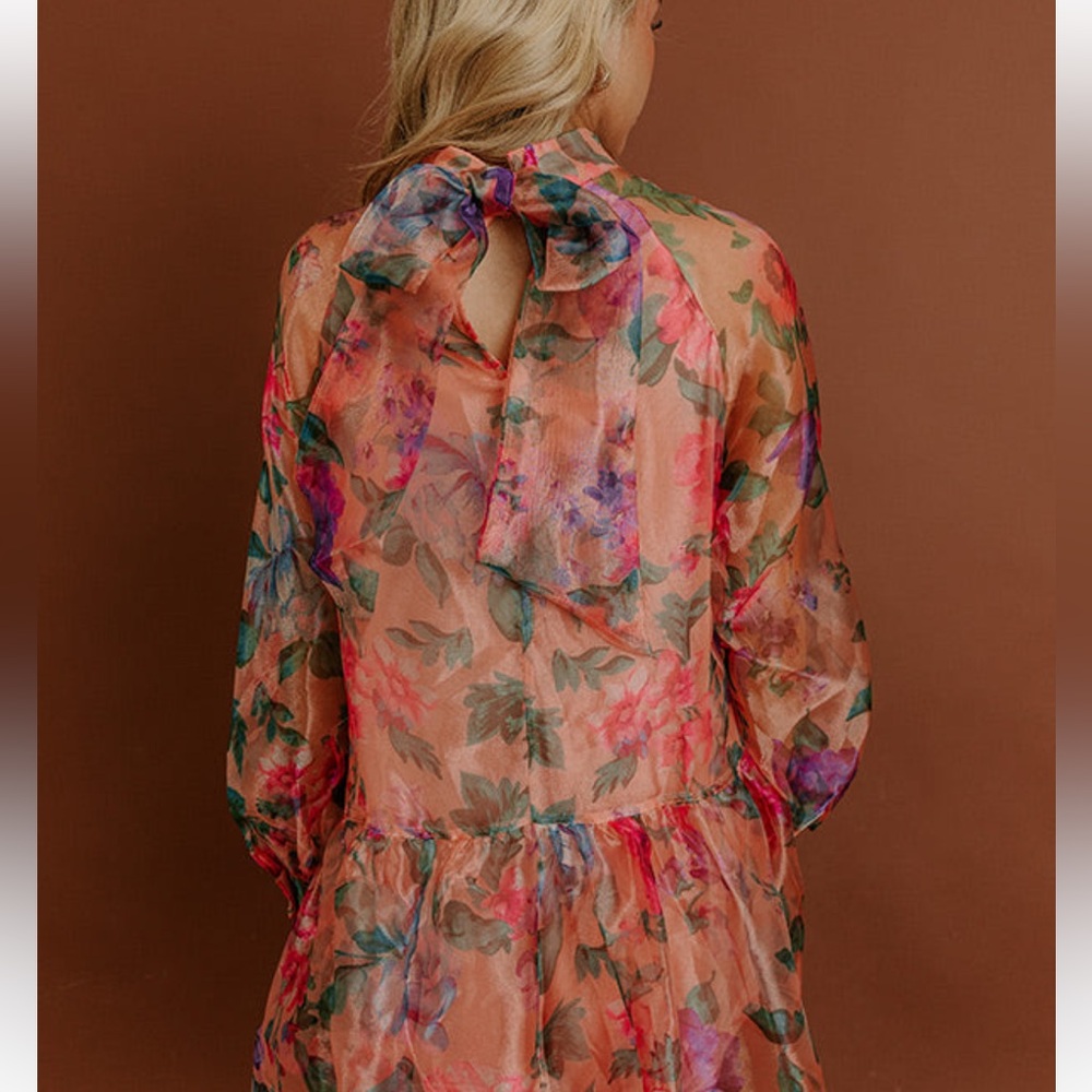 Sweet serenade Floral Organza Mini Dress - Picture 3 of 9
